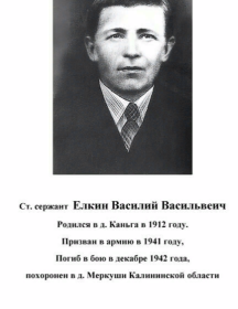 Елкин Василий Васильевич