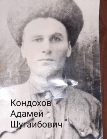 Кондохов Адамей Шугаибович