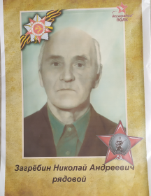 Загрёбин Николай Андреевин