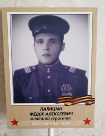 Палицын Фёдор Алексеевич