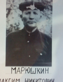 Марюшкин Максим Никитович