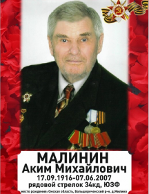 Малинин Аким Михайлович