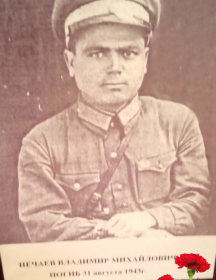 Нечаев Владимир Михайлович