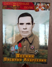 Веснин Василий Андреевич