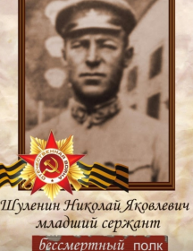 Шуленин Николай Яковлевич