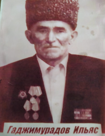Гаджимурадов Ильяс 