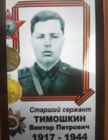 Тимошкин Виктор Петрович