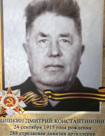 Шишкин Дмитрий Константинович