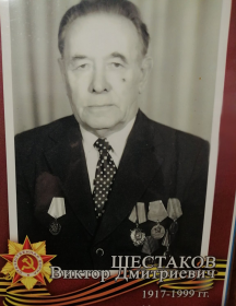 Шестаков Виктор Дмитриевич