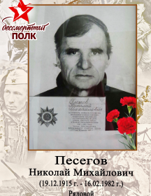 Песегов Николай Михайлович