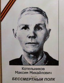 Котельников Максим Михайлович