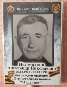 Недомолкин Александр Николаевич