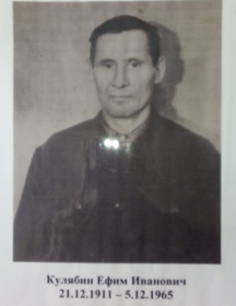 Кулябин Ефим Иванович