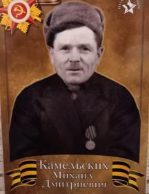 Камельских Михаил Дмитриевич