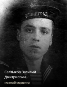 Салтыков Василий Дмитриевич