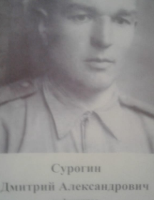 Сурогин Дмитрий Александрович