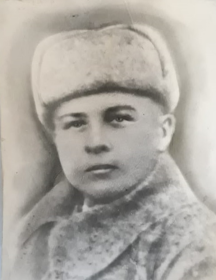 Чеботарев Николай Петрович