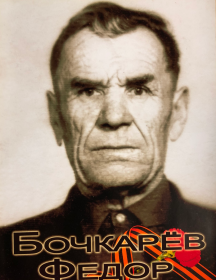 Бочкарёв Фёдор Петрович