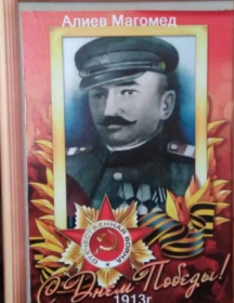 Алиев Магомед Алимагомедович