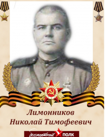 Лимонников Николай Тимофеевич