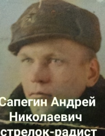 Сапегин Андрей Николаевич