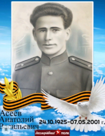 Асеев Анатолий Васильевич