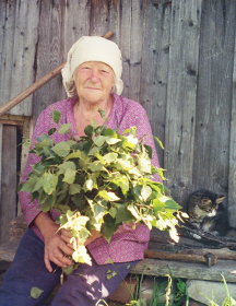 Васильева Мария Александровна