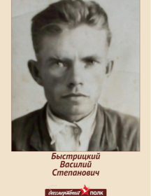 Быстрицкий Василий Степанович