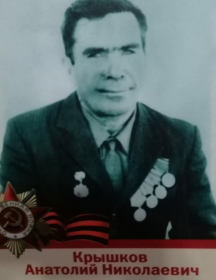 Крышков Анатолий Николаевич