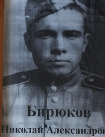 Бирюков Николай Александрович
