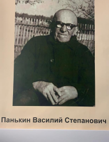 Панькин Василий Степанович