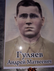 Гуляев Андрей Матвеевич