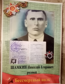 Шимкин Николай Егорович
