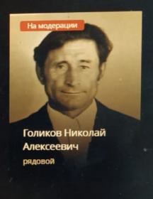 Голиков Николай Алексеевич