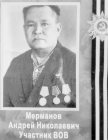 Мерманов Андрей Николаевич