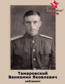 Тамаровский Вениамин Яковлевич