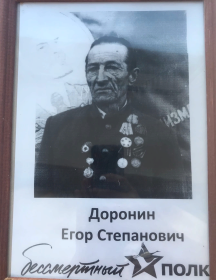 Доронин Егор Степанович
