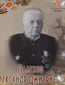 Палехов Александр Дмитриевич