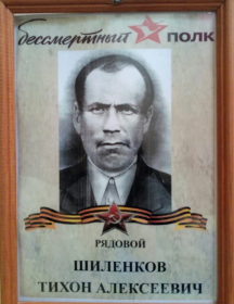 Шиленков Тихон Алексеевич