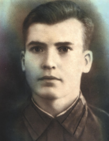 Шепелев Николай Петрович