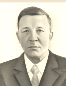 Аникин Михаил Иванович