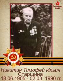 Никитин Тимофей Ильич