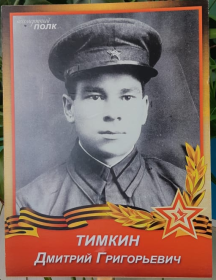 Тимкин Дмитрий Григорьевич