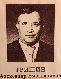 Тришин Александр Емельянович
