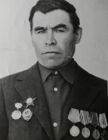 Шелкунов Фёдор Флегонтович