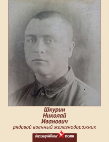 Шкурин Николай Иванович