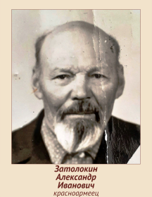 Затолокин Александр Иванович