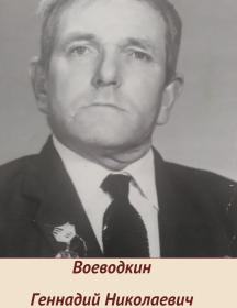 Воеводкин Геннадий Николаевич