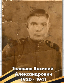 Телешев Василий Александрович