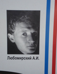 Любомирский Арнольд Иосифович